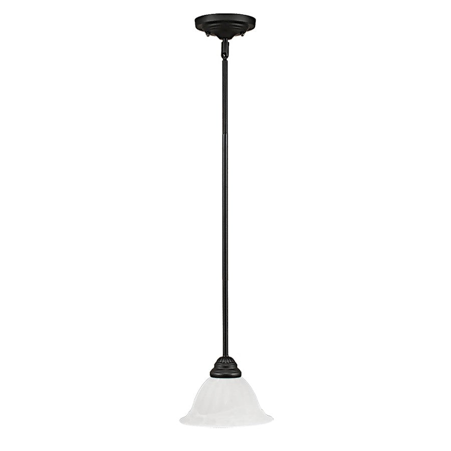 1 Light Mini Pendant, Black