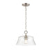 Millennium Lighting Caily 1 Light Pendant, Brushed Nickel/Clear - 2111-BN