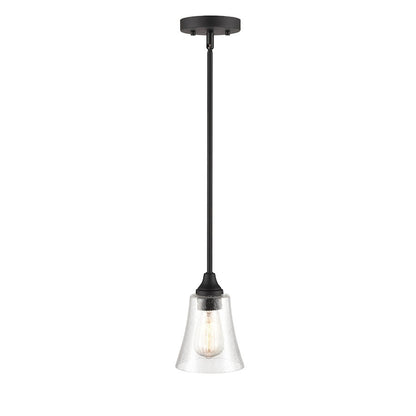 1 Light Linear Pendant, Clear