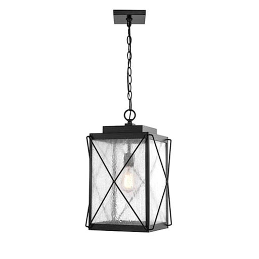 Millennium Robinson 1 Light 18.5" Outdoor Hanging Lantern, Black - 2615-PBK