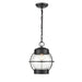 Millennium 4172 Aremelo 1 Light 12" Outdoor Hanging Lantern, Black - 4172-PBK