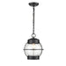 Millennium Aremelo 1 Light Outdoor Hanging Lantern, Black/Seeded - 4172-PBK