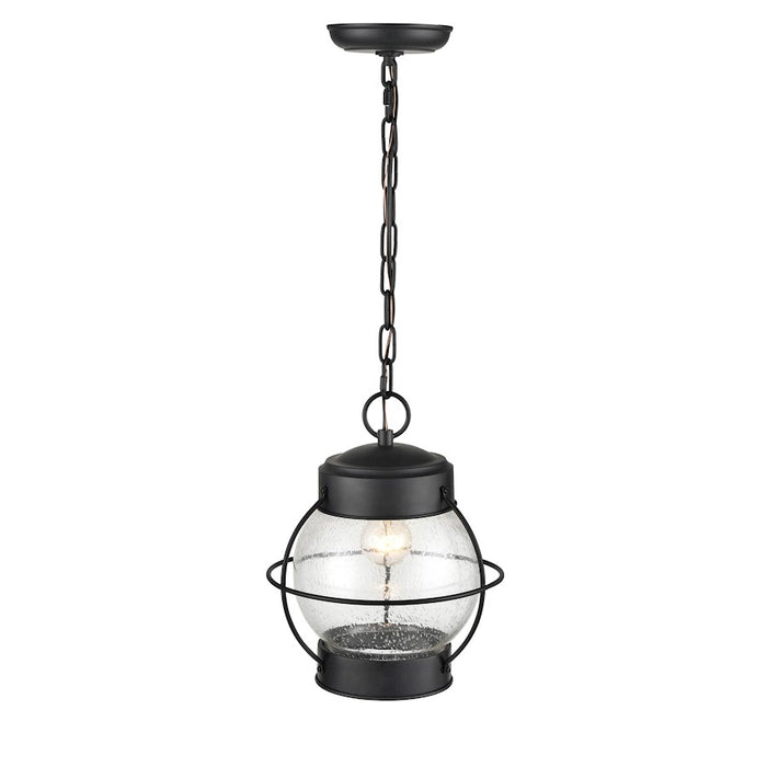 Millennium Aremelo 1 Light Outdoor Hanging Lantern, Black/Seeded