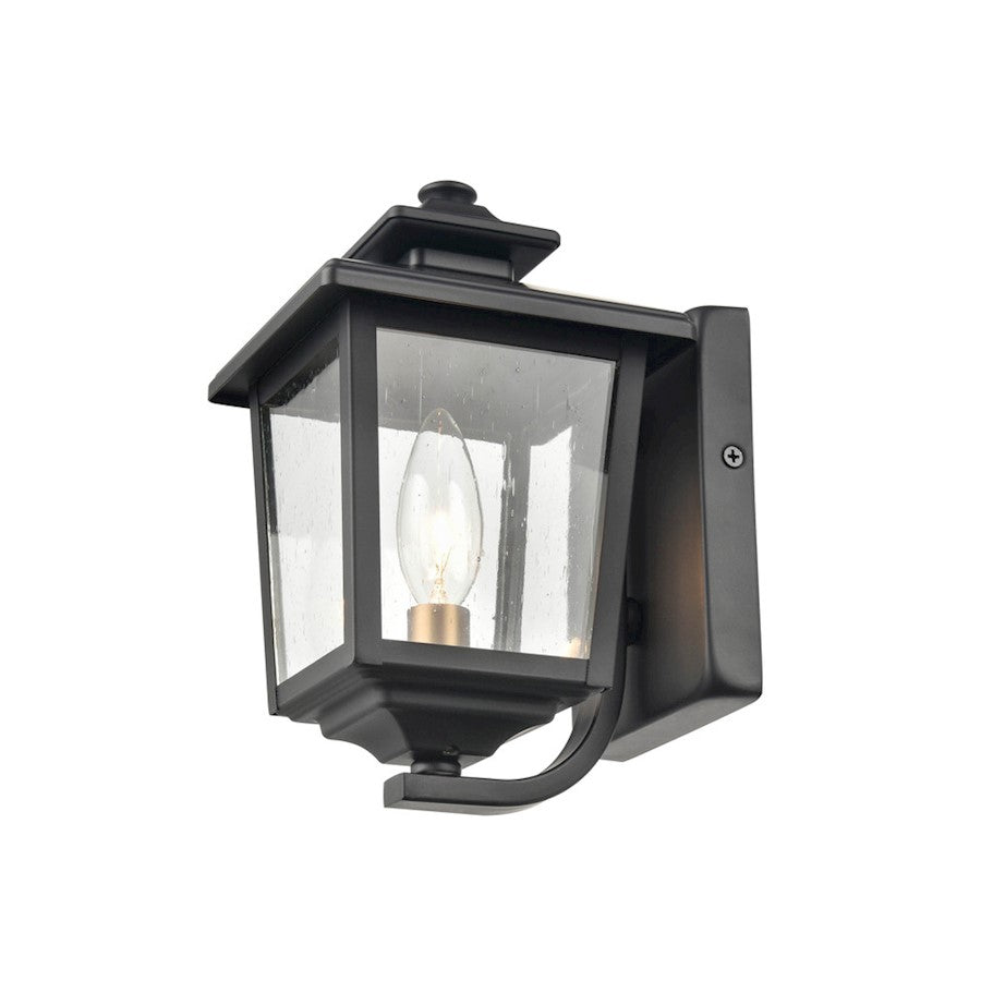 Millennium Eldrick 1 Light Outdoor Lantern, Clear