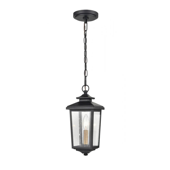 Millennium Eldrick 1 Light 13.5" Outdoor Hanging Lantern, Black/Clear - 4621-PBK
