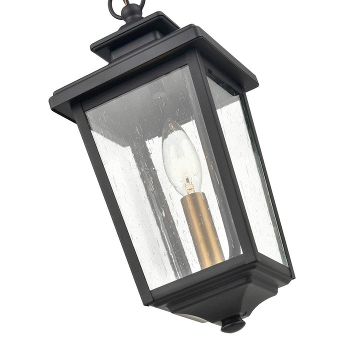 Millennium Eldrick Outdoor Hanging Lantern, Clear