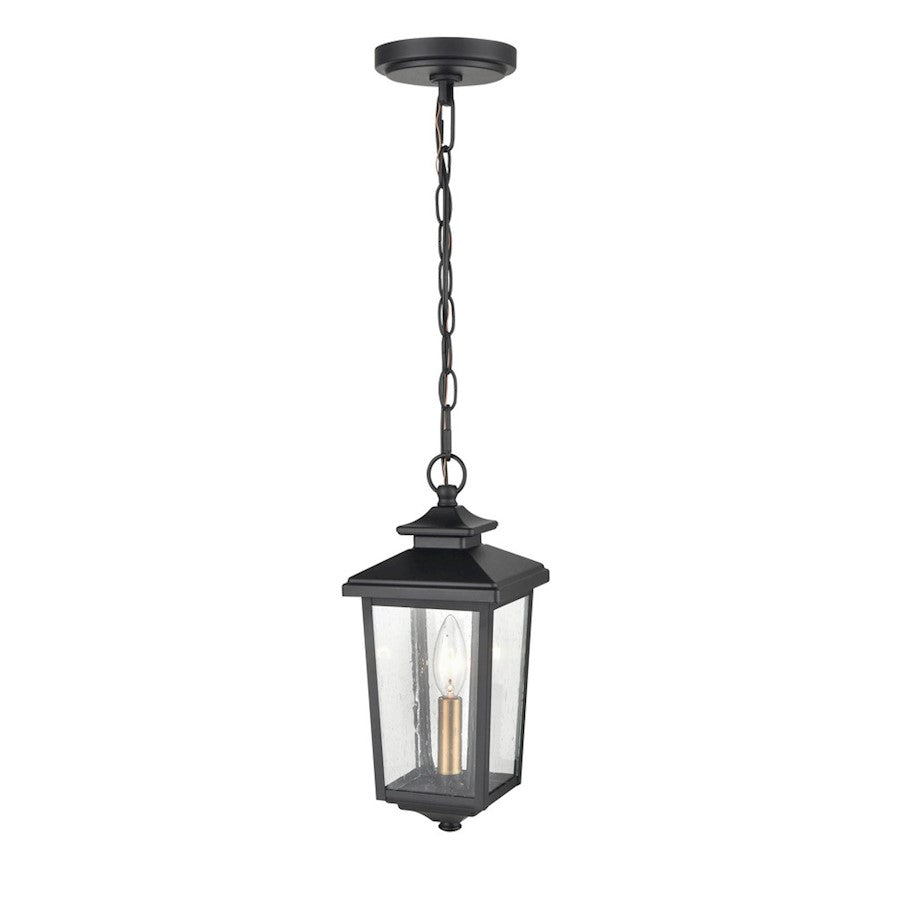 Millennium Eldrick Outdoor Hanging Lantern, Clear