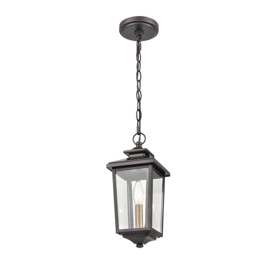 Millennium Eldrick Outdoor Hanging Lantern, Clear