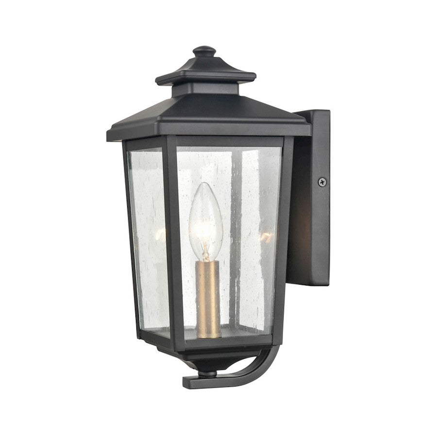 Millennium Eldrick 1 Light Outdoor Lantern, Clear