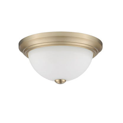 Millennium Lighting 11" 2 Light Flushmount 4901