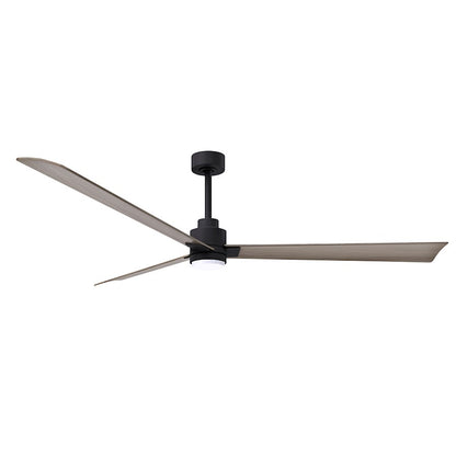 Matthews Fan Alessandra 1 3 Blade 72" Ceiling Fan, Black/Ash - AKLK-BK-GA-72