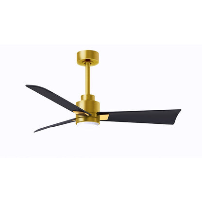 Matthews Fan Alessandra 1 3 Blade 42" Ceiling Fan, Brass/Black - AKLK-BRBR-BK-42