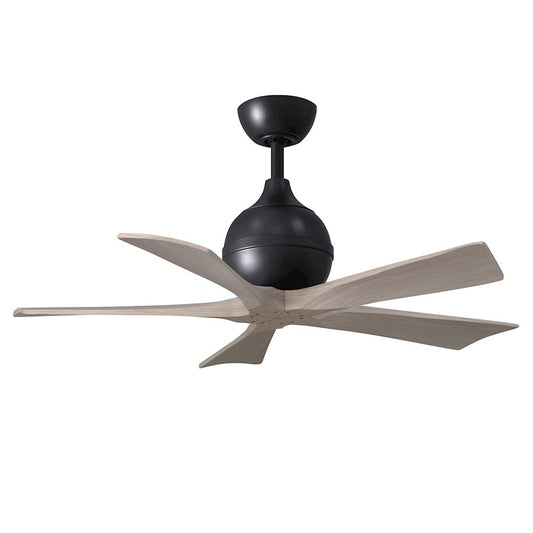 Matthews Fan Irene-5 5 Blade 42" Ceiling Fan, Black/Ash - IR5-BK-GA-42