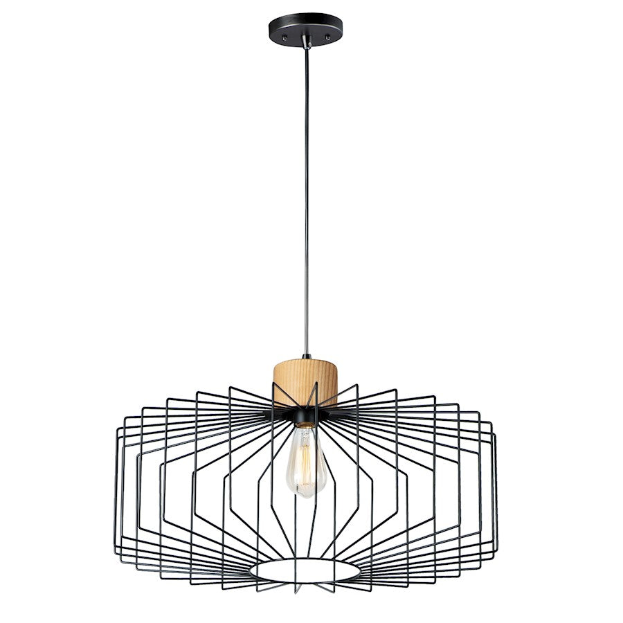 1 Light Mini Pendant, Black