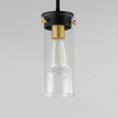 1 Light Pendant