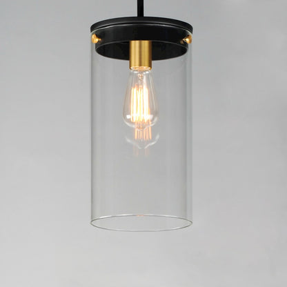 1 Light Pendant