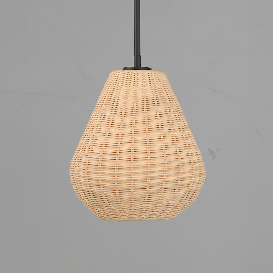 1 Light Pendant, Black