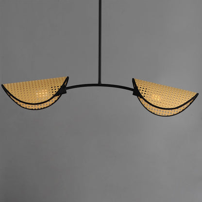 2 Light Linear Pendant, Black