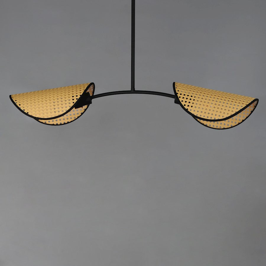 2 Light Linear Pendant, Black