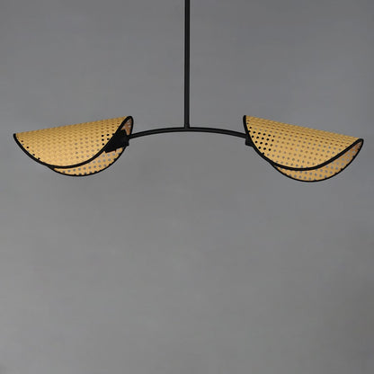 2 Light Linear Pendant, Black