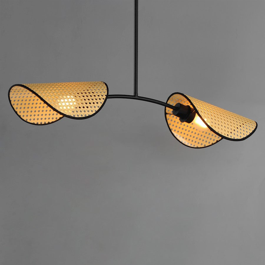 2 Light Linear Pendant, Black