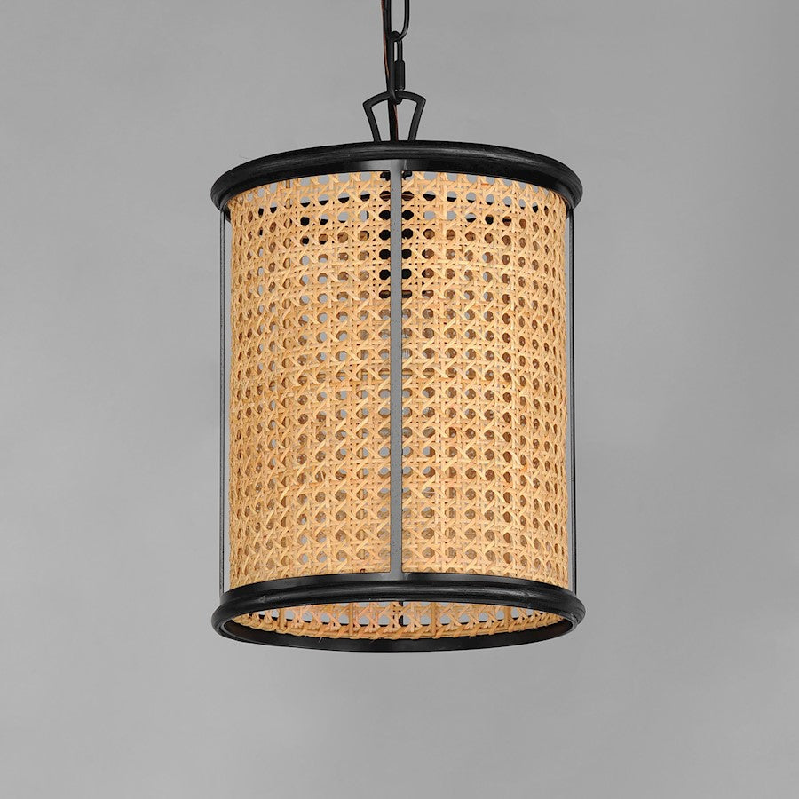 1 Light Pendant, Black