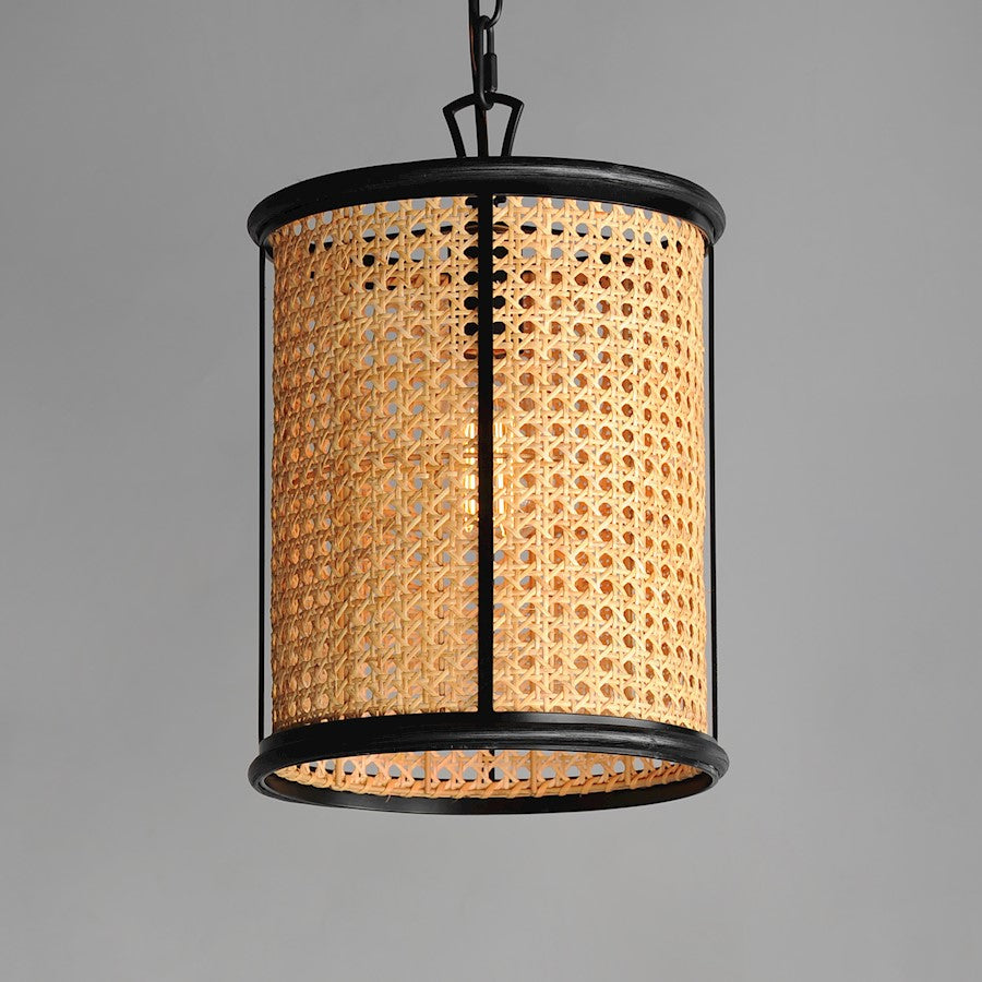 1 Light Pendant, Black