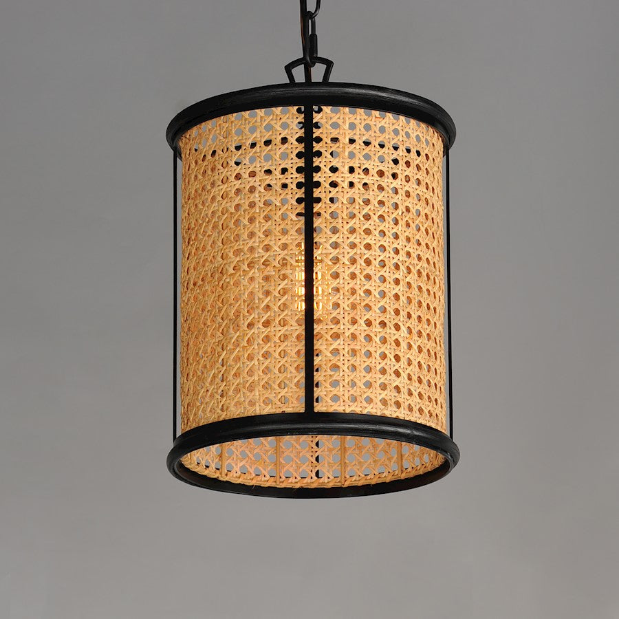 1 Light Pendant, Black