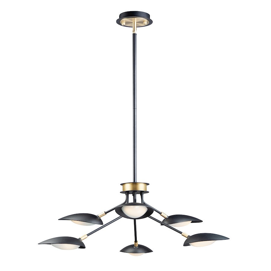 6 Light Pendant, Black/Satin Brass