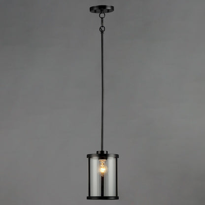 1 Light Mini Pendant, Clear