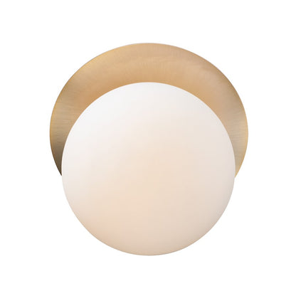 1 Light Wall Sconce