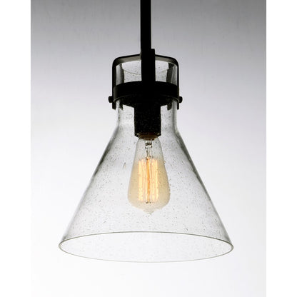 1 Light Pendant/Bulb