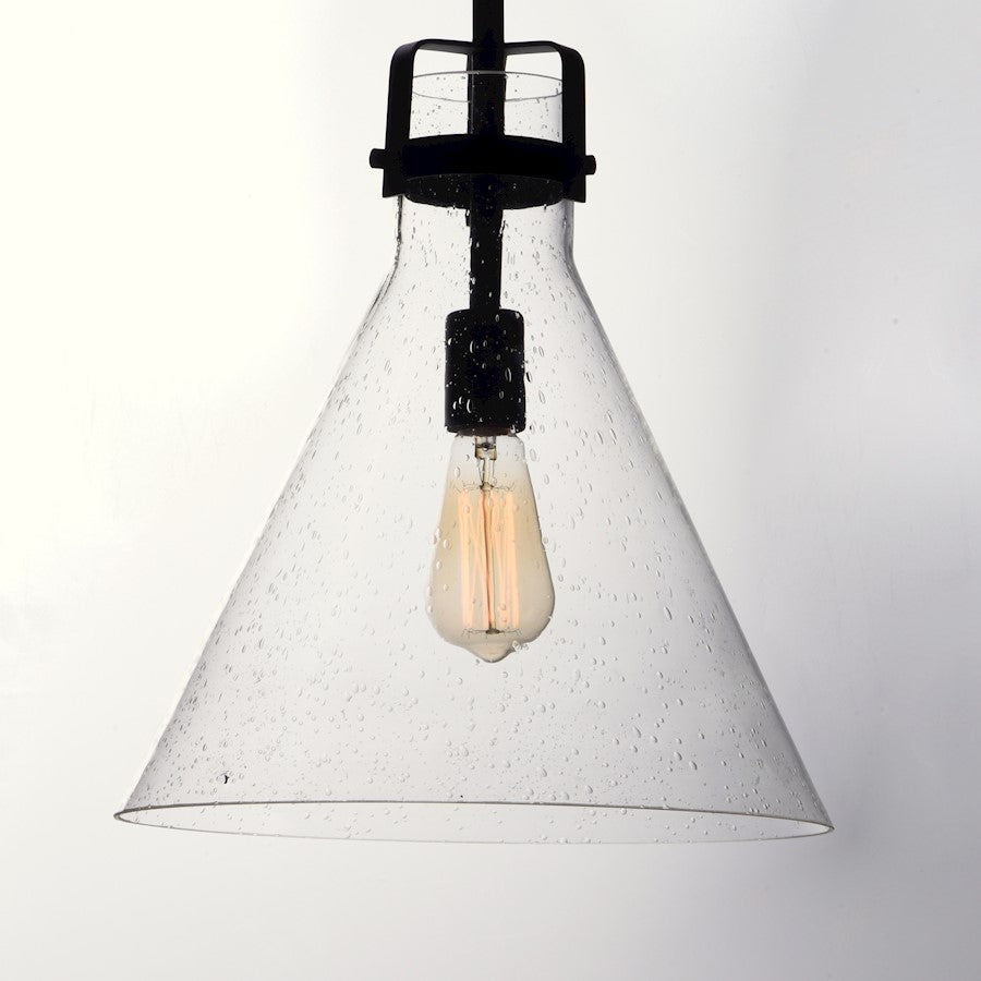 1 Light Pendant/Bulb