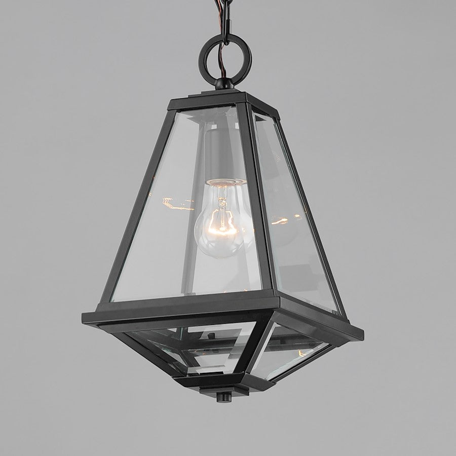 1 Light 16" Outdoor Pendant, Black