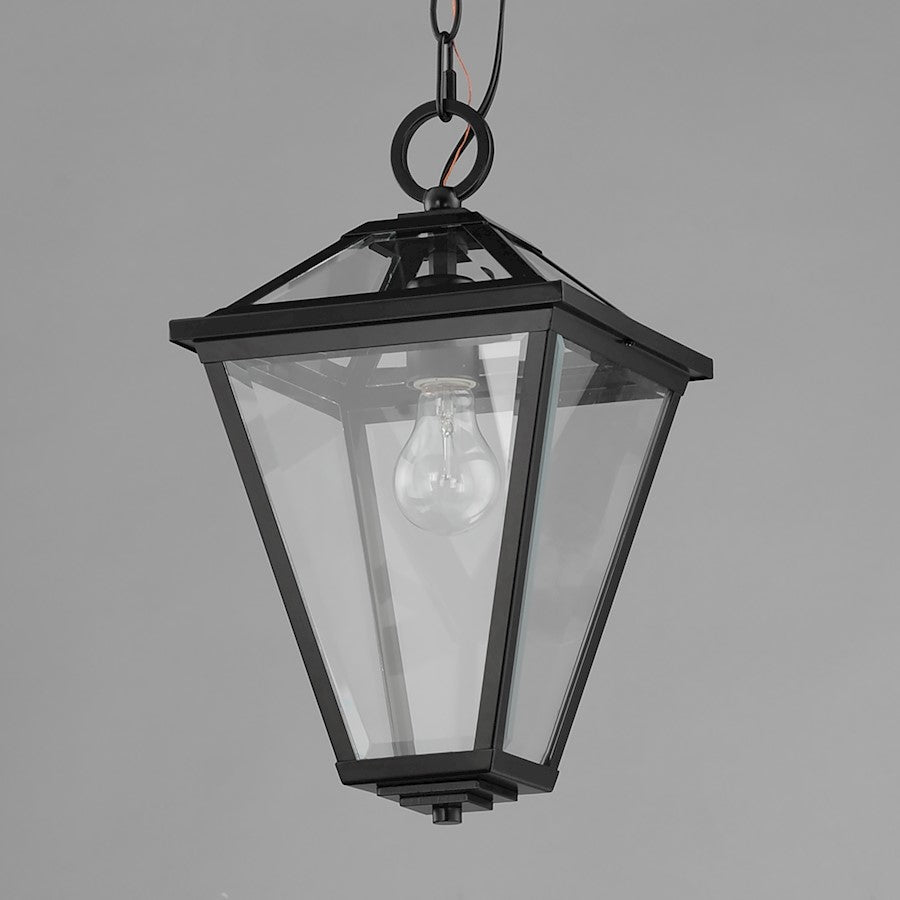 1 Light 16" Outdoor Pendant, Black