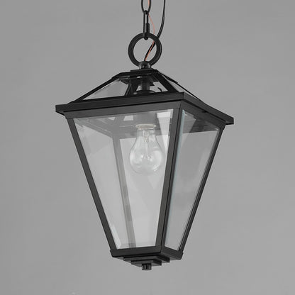 1 Light 16" Outdoor Pendant, Black