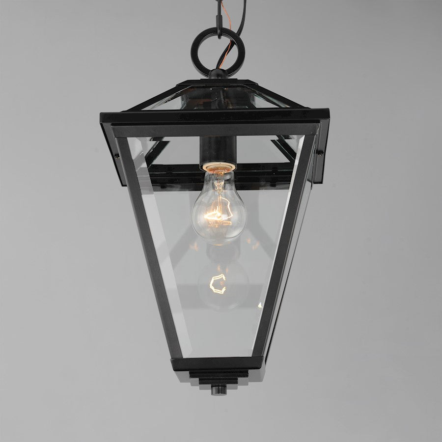 1 Light 16" Outdoor Pendant, Black