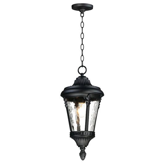 1 Light Outdoor Hanging Pendant, Black