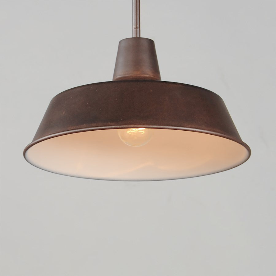 1 Light Outdoor Pendant