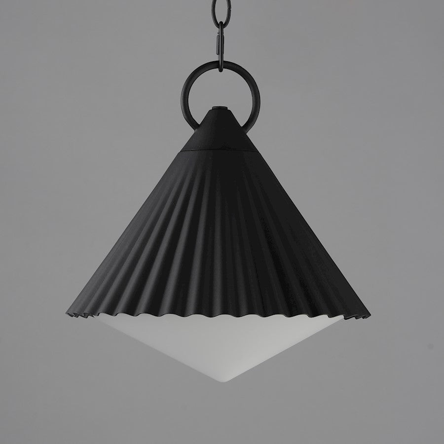 1 Light 13" Outdoor Pendant, Black