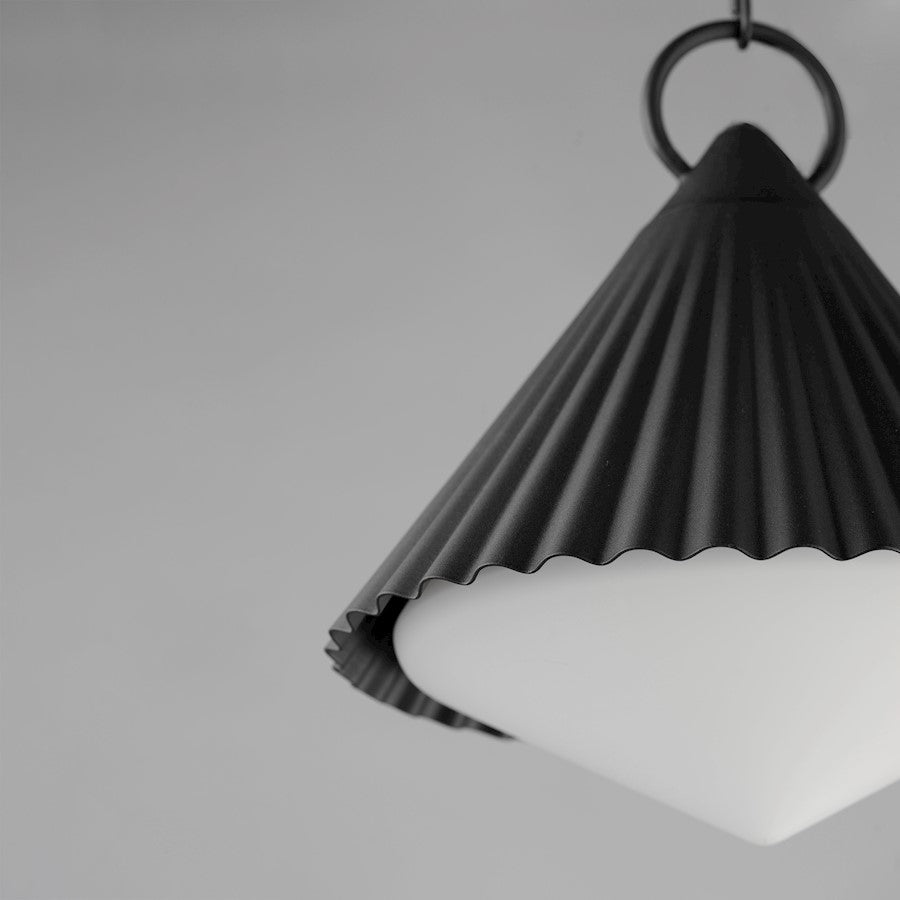 1 Light 13" Outdoor Pendant, Black