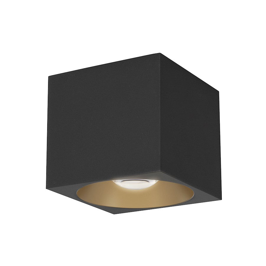 Maxim Lighting Stout 1 Light Flush Mount/120-277V , Black - 86213BK