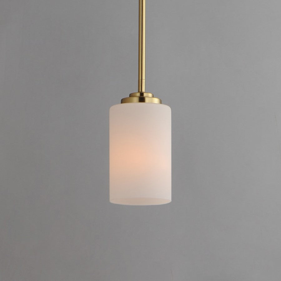 1 Light Pendant