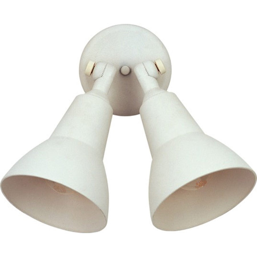 2 Light Outdoor Wall Sconce