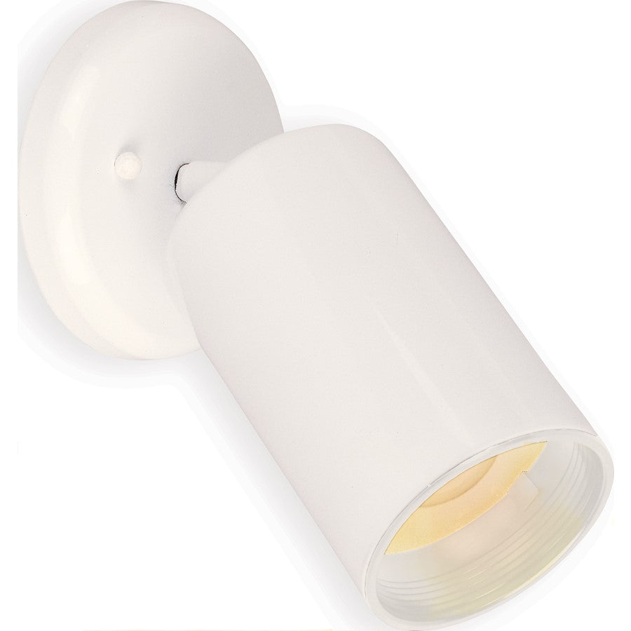 Maxim Lighting 1-Light Can Wall/Flush Mount