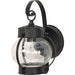 Nuvo Lighting 1 Light 10-5/8" Wall Lantern Onion Lantern, Black, Frost - 60-3459