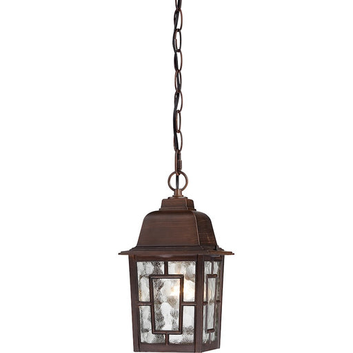 Nuvo Lighting Banyan 1 Light 11" Outdoor Hanging, Clear Water Glass - 60-3490