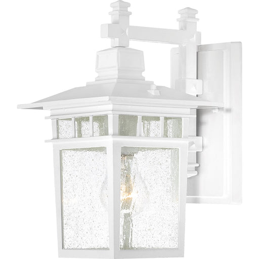 Nuvo Lighting Cove Neck 1 Light 12" Outdoor Lantern, Clear Seed/White - 60-3491