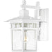 Nuvo Lighting Cove Neck 1 Light 12" Outdoor Lantern, Clear Seed/White - 60-3491