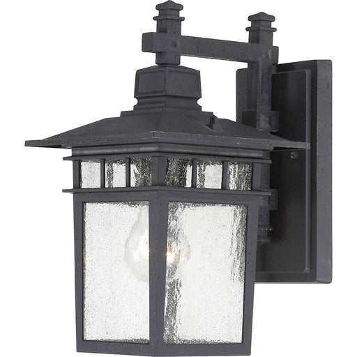 Nuvo Lighting Cove Neck 1 Light 12" Outdoor Lantern, Clear Seed/Black - 60-3493
